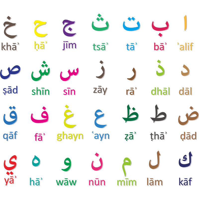 Buy NOW this Learn Arabic - Color Arabic Digital Wall Sticker or other Educational Materials from Rawdah Al-Jennah